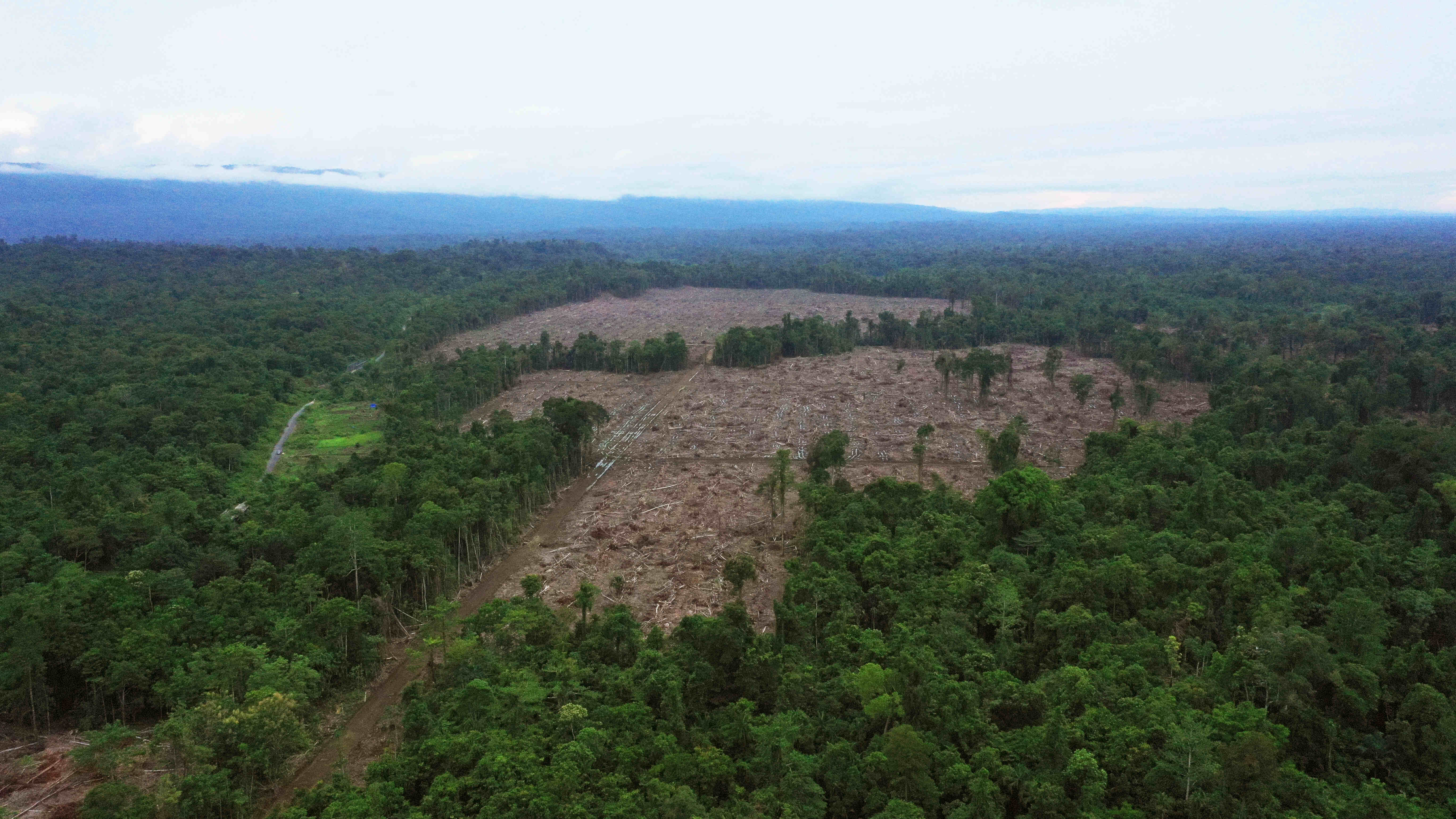 auriga nusantara