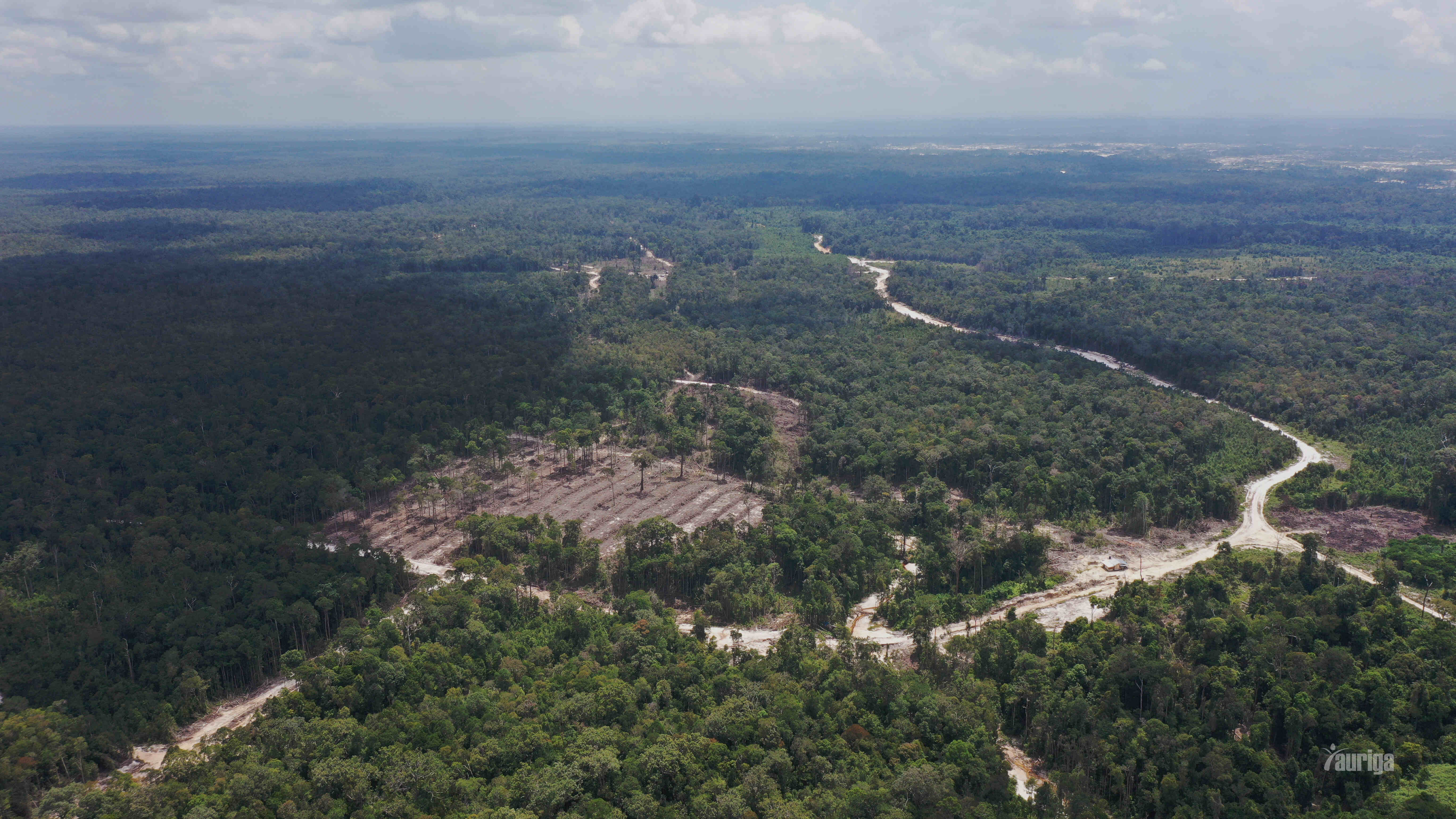 auriga nusantara