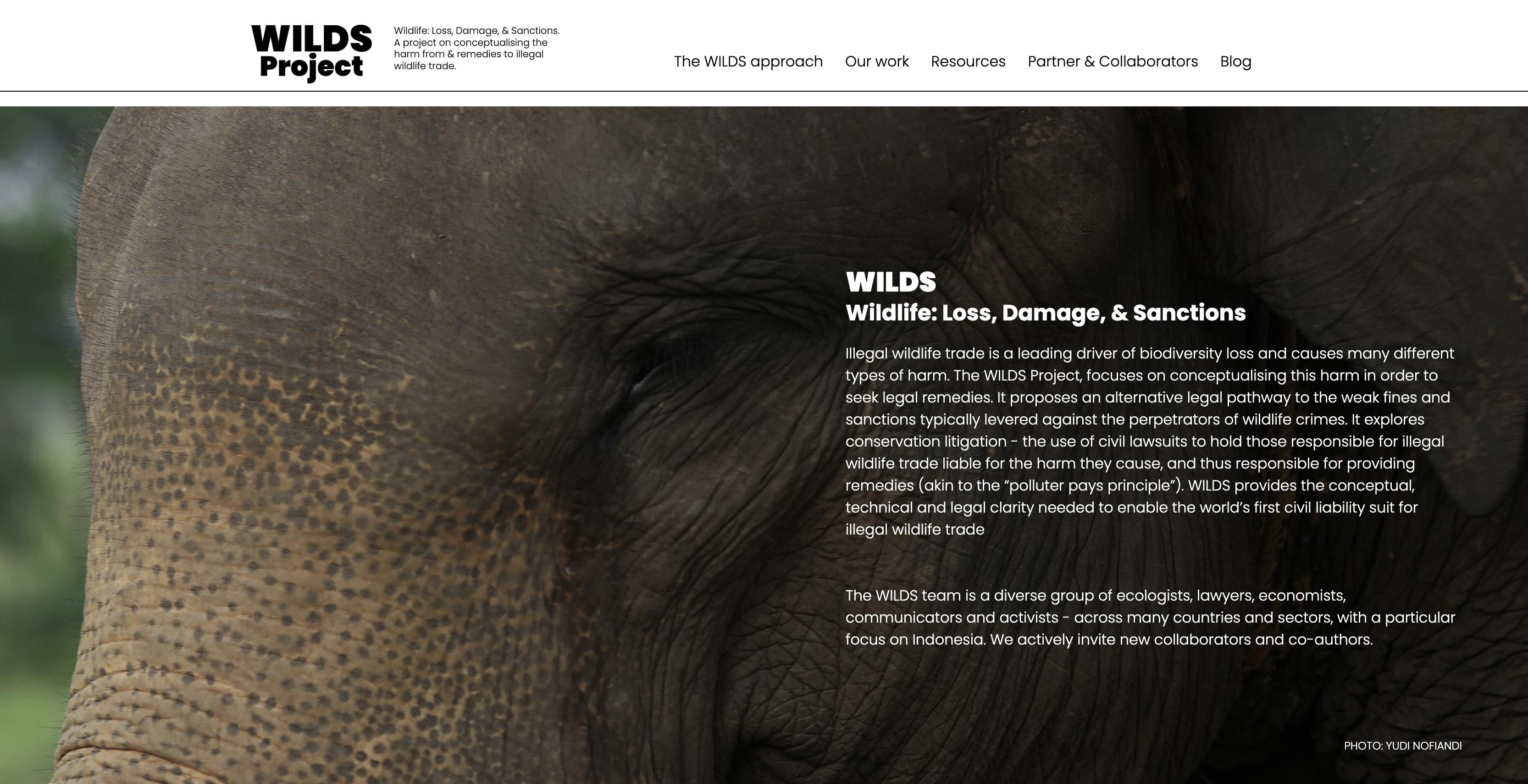 wilds project