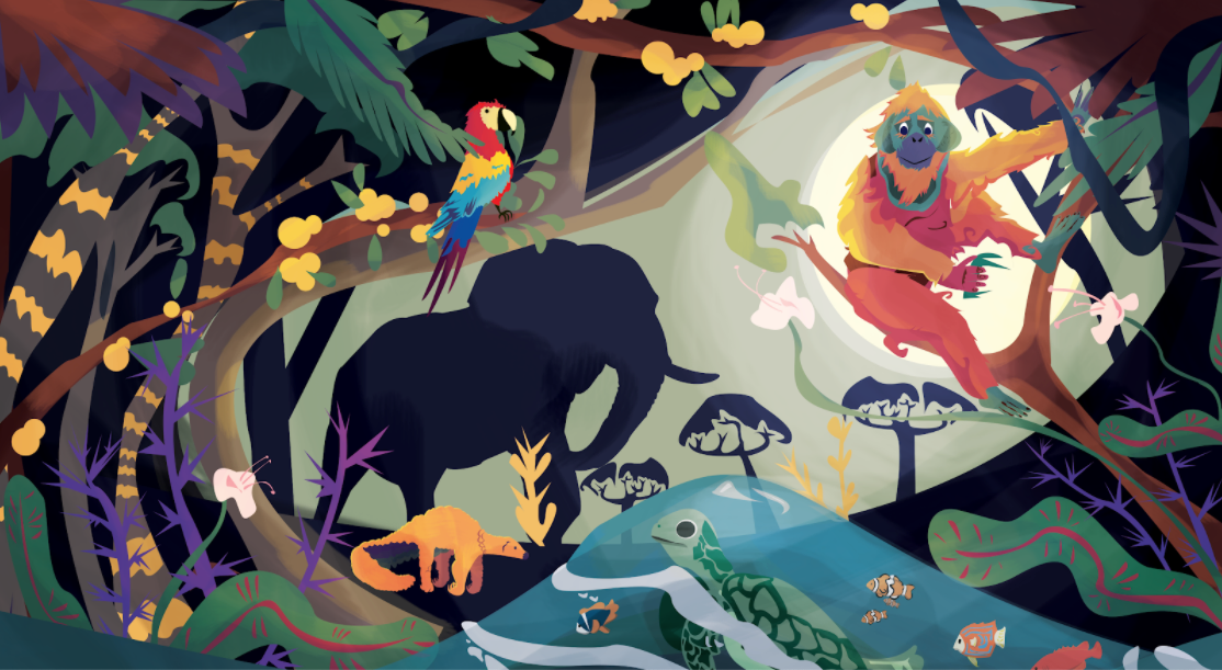 wilds