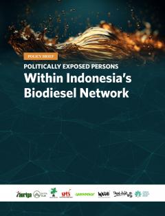Polotically exposed persons within Indonesia’s biodiesel network