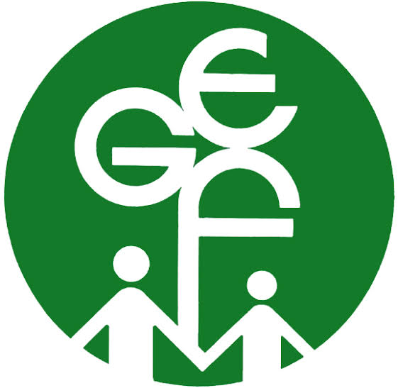 Global Environmental Forum (GEF)